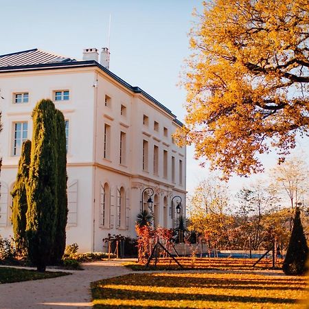 Chateau De Longpre Varilhes エクステリア 写真